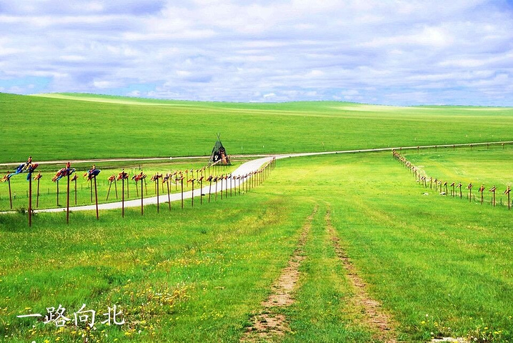 "白桦林虽然美，但其实后来的旅途中有更多更自然美的白桦林，这个景点反而人工痕迹多了点_金帐汗旅游部落"的评论图片