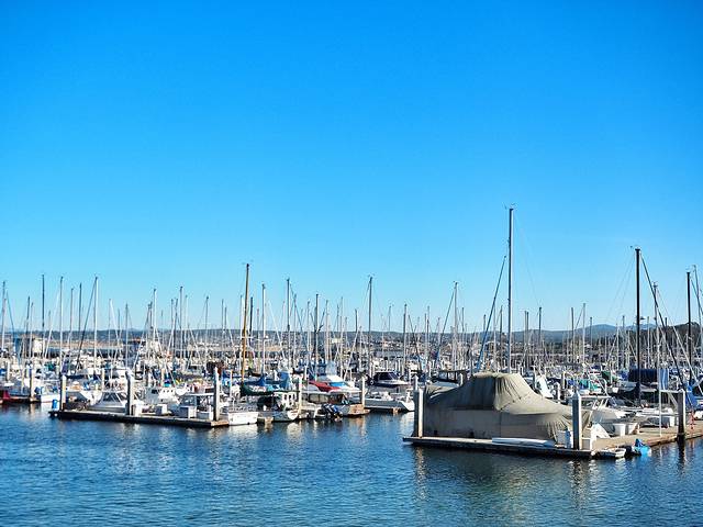 蒙特雷渔人码头