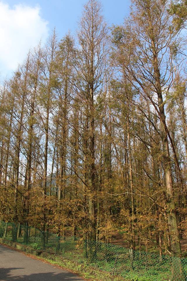 冷水坑游客服务站