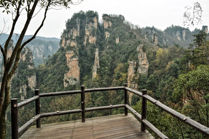 "天子山景区天子山是张家界最早开发出来的景点之一，天子山有着天下峰林“扩大的盆景，缩小的仙境”之称_张家界国家森林公园"的评论图片