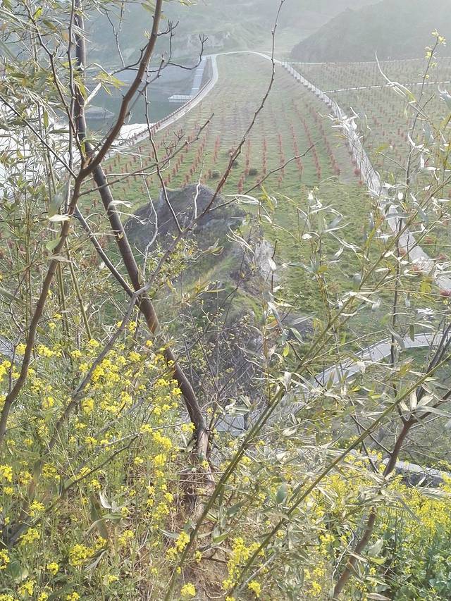 瓜埠山火山石林景区