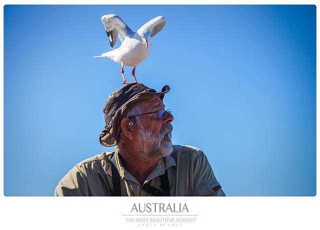 东澳自驾游 2017.01.18-02.03