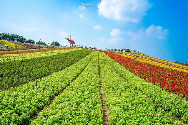 东部华侨城茶溪谷