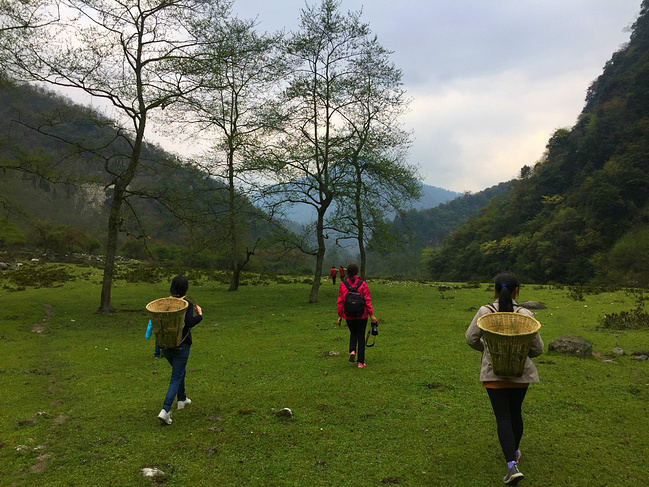 牛羊作伴图片 牛羊作伴图片