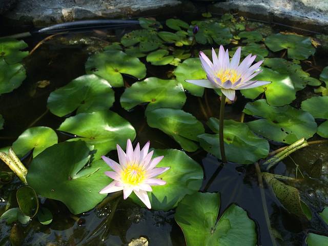 台中文化创意产业园区