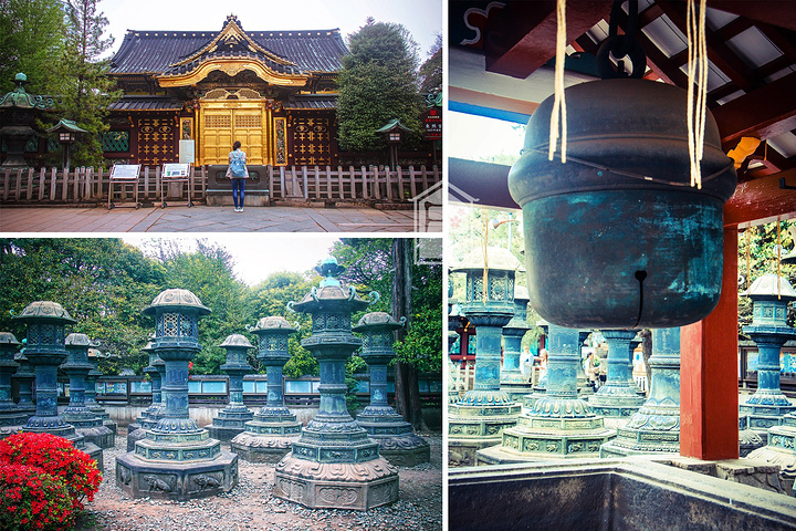 2017这一天,我们买了一张一日通地铁票,挑了几