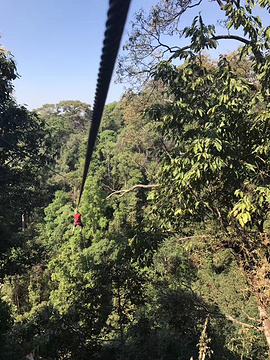 飞翔的长臂猿丛林飞跃旅游景点攻略图