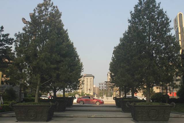 松园(环城南路西段)