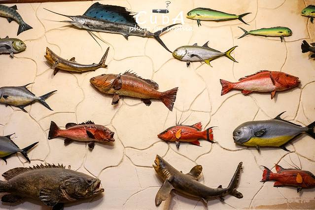 La Taberna del Pescado