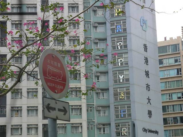 香港城市大学