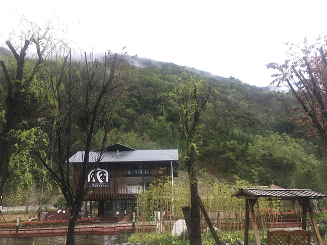 山村晨雾图片 山村晨雾图片