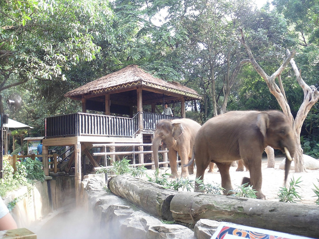 2017动物园不能带食物进去,所以傍边售票点有