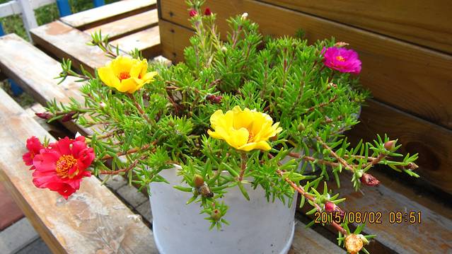 长春客运中心站