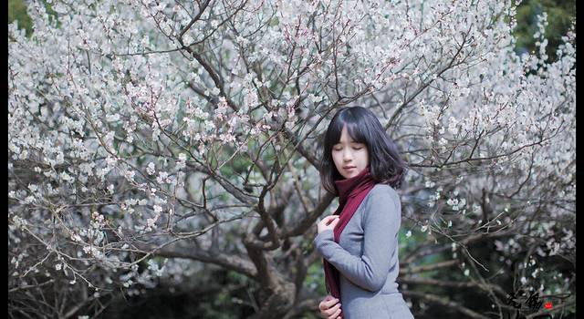 无锡梅园,一场风花雪月的故事。