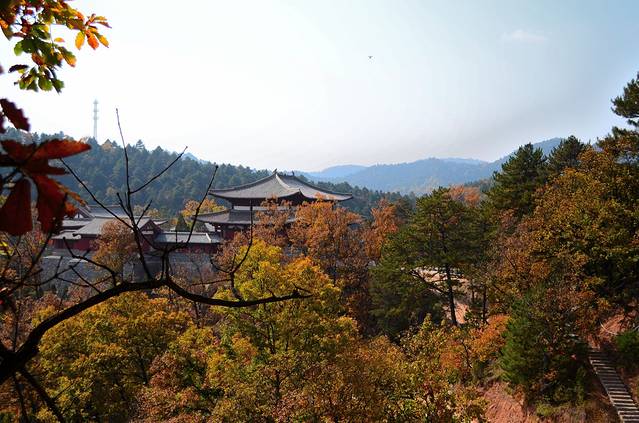 陕西黄陵国家森林公园