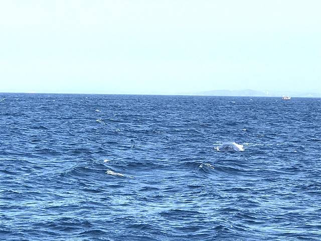 2017春节斯里兰卡一场期待已久的环游