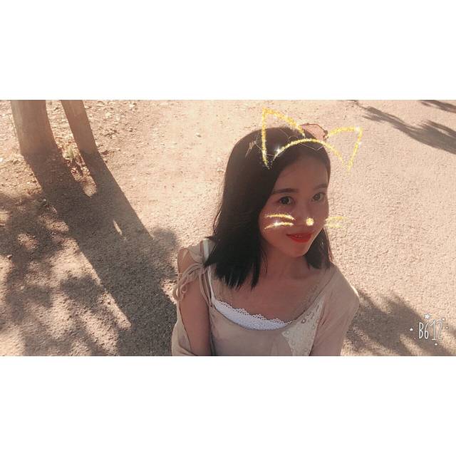 林海归真森林公园