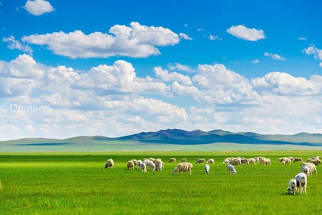 蒙古汗城旅游景区