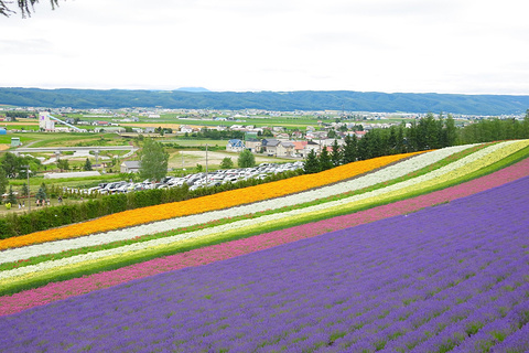 大通公园 >小樽运河 >真驹内公园 >二条市场 >北海道