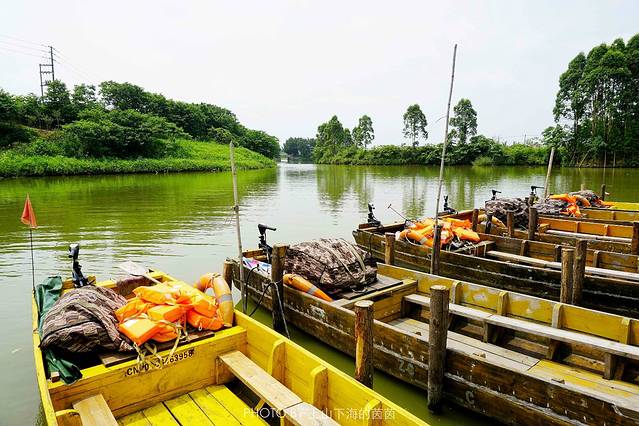 江门古劳水乡旅游区