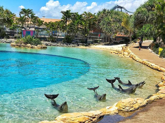 黄金海岸海洋世界