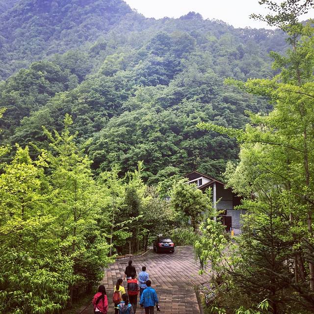 神农架自然博物馆