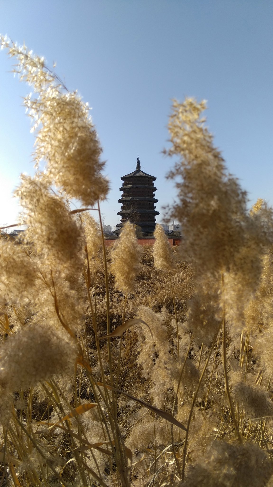 为了庆祝应州大捷武宗亲临木塔即兴写下天下奇观四字既赞美木塔的胜景