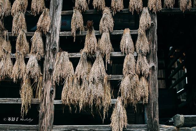 榕江县大利侗寨景区