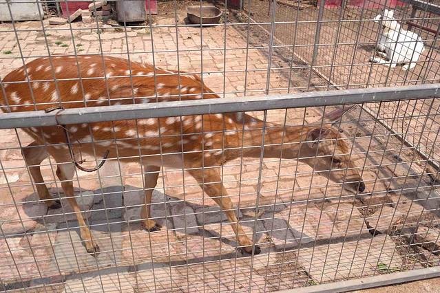 小蚂蚁薰衣草儿童庄园