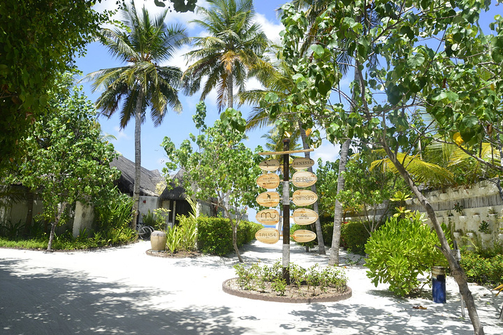 2017.等零食和冰箱里的饮料是收费滴在入住前