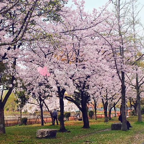 【大阪城公园】 地址:大阪市中央区大阪城1-1 