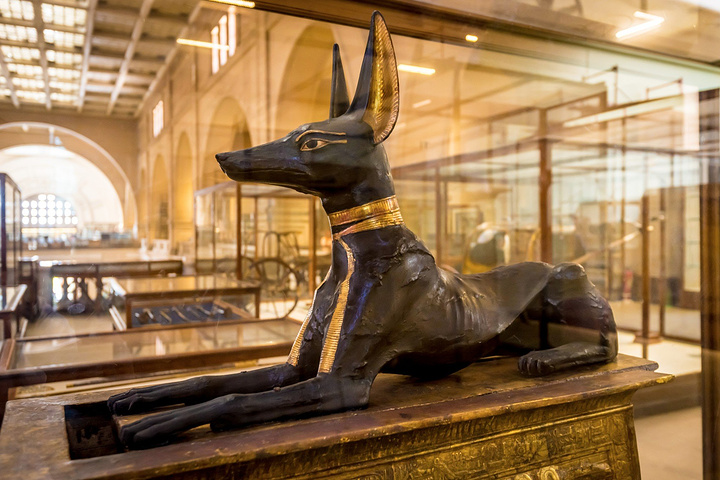 2018他们也不知道埃及有什么地方好玩的,所以