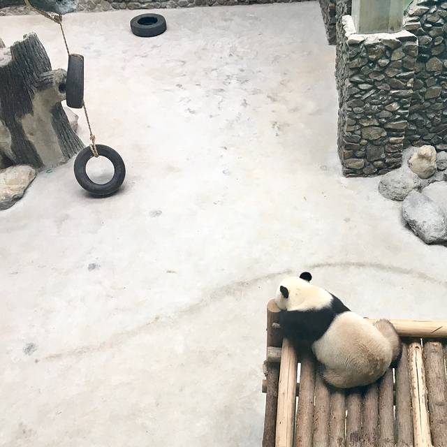 神农架自然博物馆