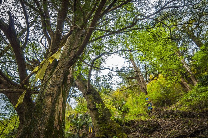 7丹山赤水风景名胜区位于宁波余姚市大岚镇柿
