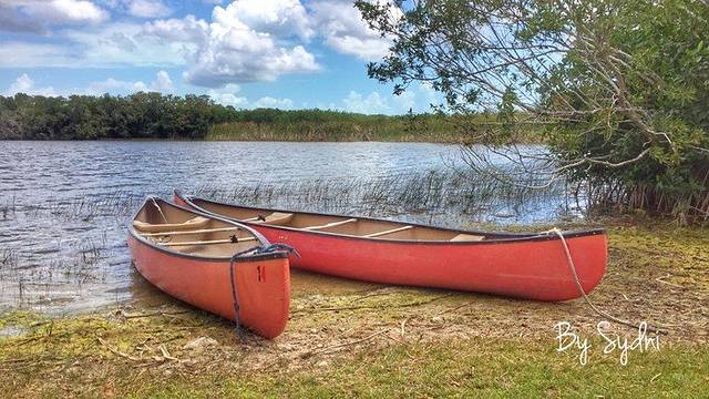 大沼泽地国家公园