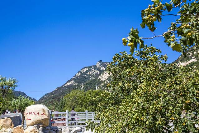 山东文旅·沂蒙山天蒙旅游区