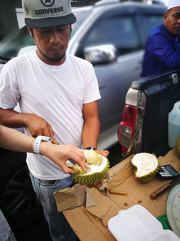 当属琵琶虾(学名:毛缘扇虾)_肥妈海鲜的评论图