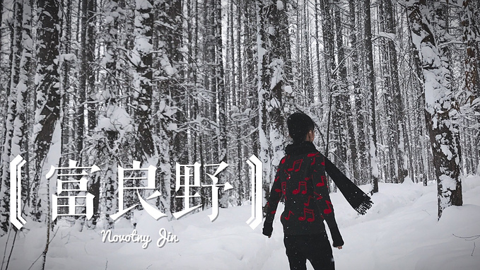 一封来自白雪世界的情书 冬季北海道 札幌旅游攻略 游记 去哪儿攻略