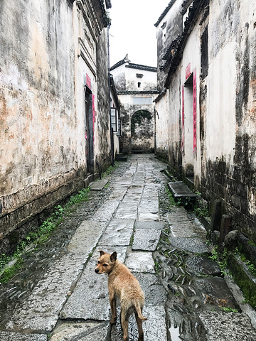 村里最有名的三姑庙求签也是非常灵验的徽派建筑拍黑白的效果也不错