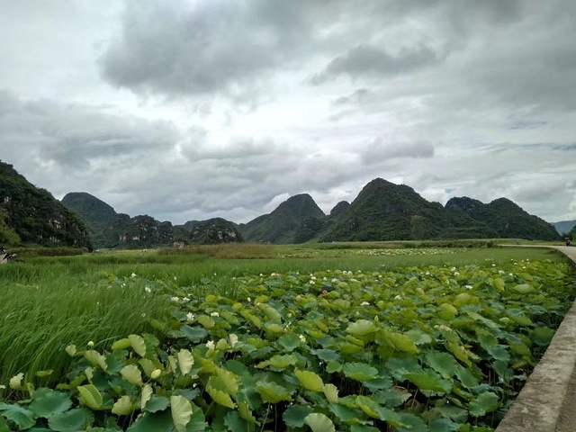 "...青龙山，在山顶可以看到普者黑和拍摄三生三世十里桃花的景点全景，非常漂亮，这个不要钱的更值得一去_普者黑湖"的评论图片