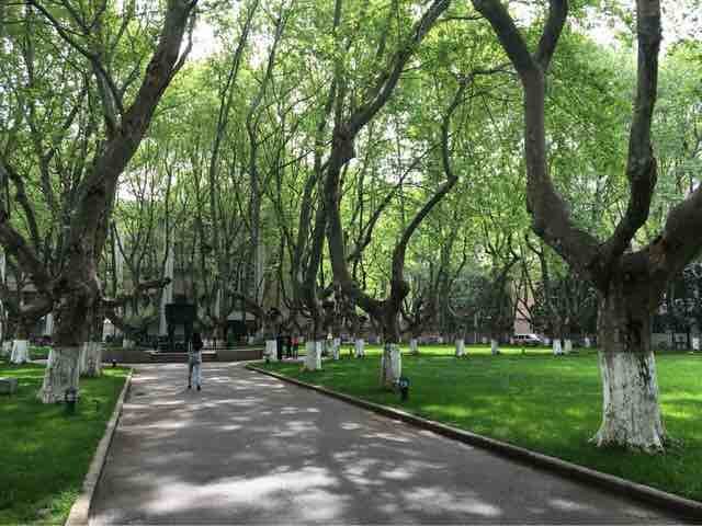 东南大学四牌楼校区