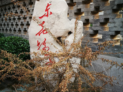 旅游攻略-门票-地址-问答-游记点评,济南旅游旅游景点