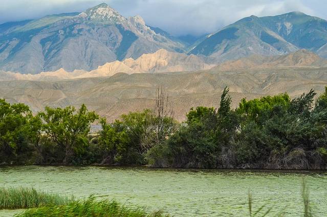 青海贵德黄河清国家湿地公园