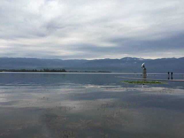观鸟岛湿地公园
