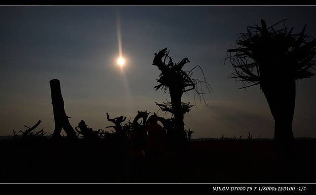 上都湖原生态旅游牧场