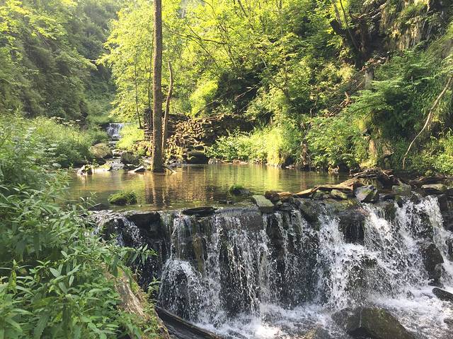 凤凰山国家森林公园