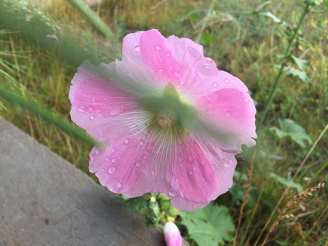 延川黄河蛇曲国家地质公园