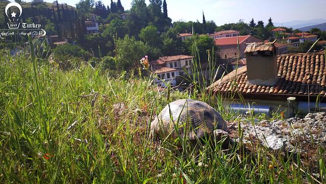 圣母玛利亚故居