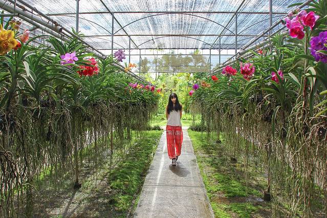 Sai Nam Phung兰花园