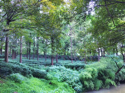 万景山庄旅游景点图片
